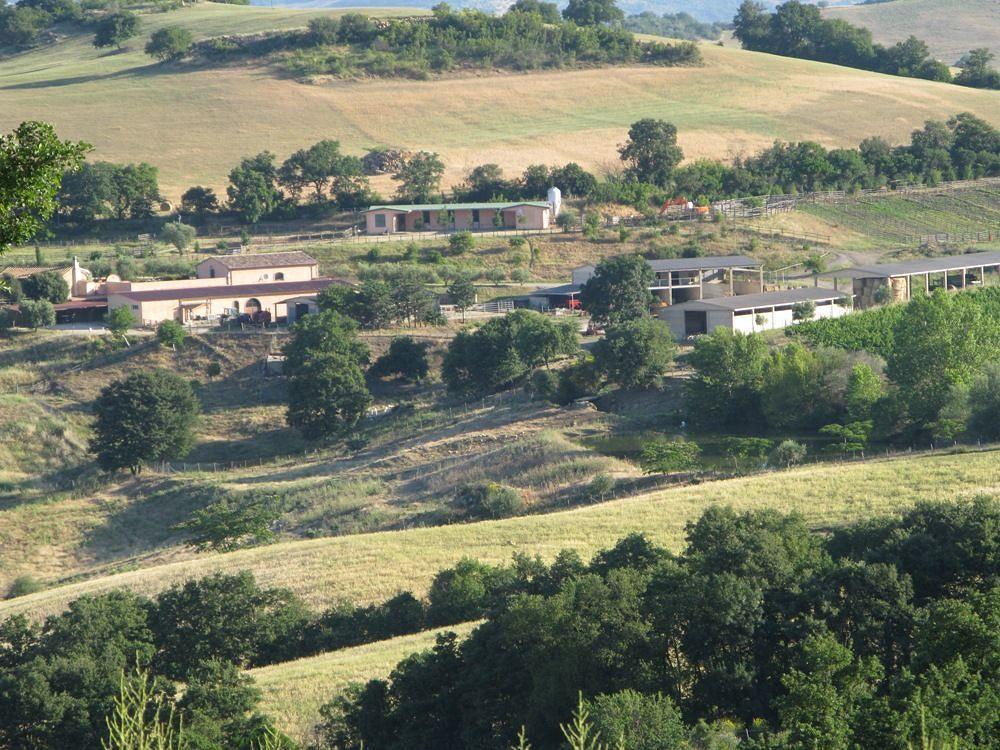 Le Murelle Country Resort مانشانو المظهر الخارجي الصورة